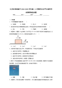 江苏省普通高中2024-2025学年高二上学期学业水平合格性考试调研物理试题