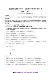 2024～2025学年河南省TOP二十名校高二上12月调研物理(A)试卷(含答案)