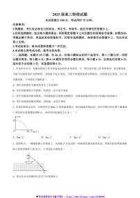 2024～2025学年四川省名校高三上联合月考物理试卷(含答案)