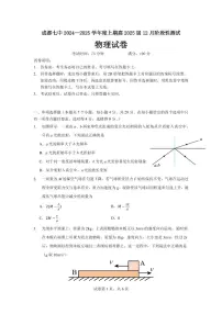 四川省成都市第七中学2024-2025学年高三上学期12月阶段性考试物理试题