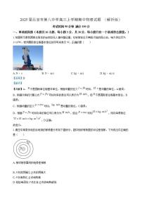 2025届北京市第八中学高三上学期期中物理试题  （解析版）