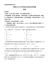 2025年河南省高考综合改革适应性演练物理试卷（八省联考河南物理卷）（附解析版）