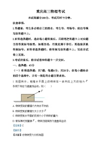 重庆市部分学校2025届高三上学期12月大联考物理试卷（Word版附解析）