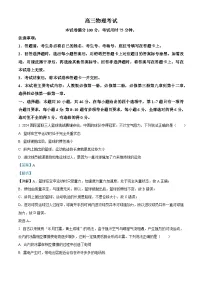 河南省驻马店市2024-2025学年高三上学期11月期中联考物理试题（Word版附解析）