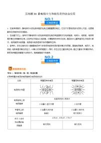 2025年新高考物理压轴题专项训练06 静电场中力和能性质的综合应用（Word版附解析）