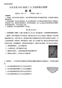 山东省名校2025届高三上学期12月校际联合检测-物理试题+答案