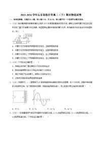 2023-2024学年山东省临沂市高二（下）期末物理试卷