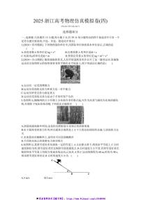 2025浙江高考物理仿真模拟卷(四)试卷(含解析)