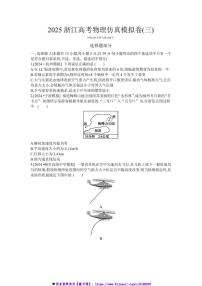 2025浙江高考物理仿真模拟卷(三)试卷(含解析)