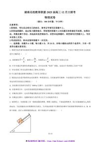 2025届湖南省名校教育联盟高三(上)12月大联考(月考)物理试卷(含解析)