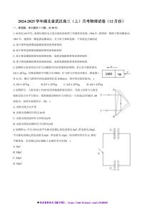 2024～2025学年湖北省武汉市高三(上)12月月考物理试卷(含解析)