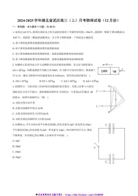 2024～2025学年湖北省武汉市高三(上)12月月考物理试卷(含解析)