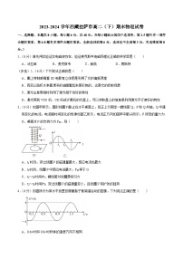 2023-2024学年西藏拉萨市高二（下）期末物理试卷