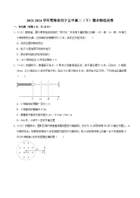 2023-2024学年青海省西宁五中高二（下）期末物理试卷