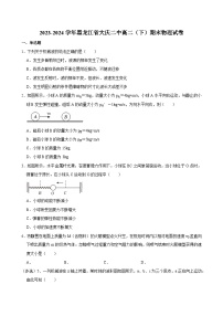 2023-2024学年黑龙江省大庆二中高二（下）期末物理试卷