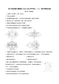 四川省成都市蓉城区2024-2025学年高二（上）期末物理试卷（含答案）