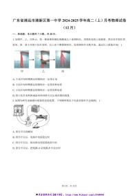 2024～2025学年广东省清远市清新区第一中学高二上()月考物理试卷(12月)(含答案)