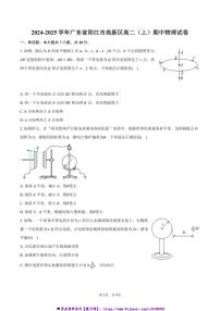 2024～2025学年广东省阳江市高新区高二上()期中物理试卷(含解析)