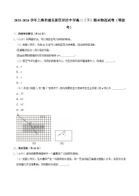 2023-2024学年上海市浦东新区洋泾中学高二（下）期末物理试卷（等级考）