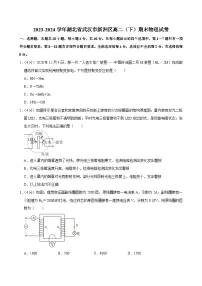 2023-2024学年湖北省武汉市新洲区高二（下）期末物理试卷
