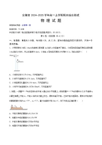 安徽省示范高中2024-2025学年高一上学期期末考物理试题+答案