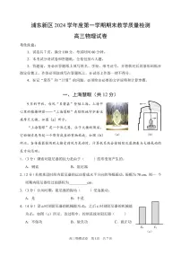 上海市浦东新区2024-2025高三一模教学质量检测物理试题+答案