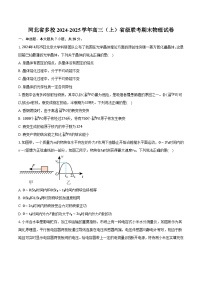 河北省多校2024-2025学年高三（上）省级联考期末物理试卷（含解析）