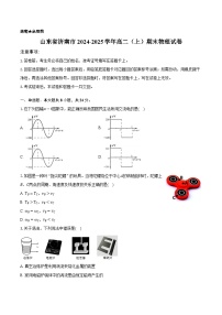 山东省济南市2024-2025学年高二（上）期末物理试卷