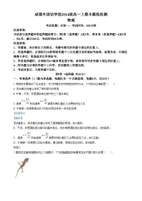 四川省成都市外国语学校2024-2025学年高一上学期期末模拟（12月月考）物理试卷（Word版附解析）