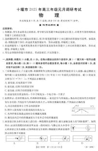 湖北省十堰市2024-2025年高三上学期1月期末考试物理试卷（PDF版附解析）