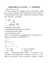 云南省西双版纳2024-2025学年高一（上）期末物理试卷