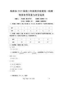 湖南省株洲市2025届高三上学期高考教学质量统一检测物理试题