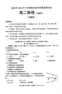 湖南省郴州市2024-2025学年高二上学期期末统考考试物理试卷