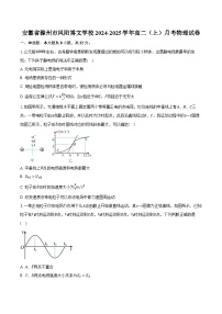 安徽省滁州市凤阳博文学校2024-2025学年高二（上）月考物理试卷-