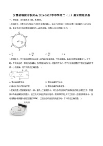 安徽省铜陵市枞阳县2024-2025学年学高二（上）期末物理试卷