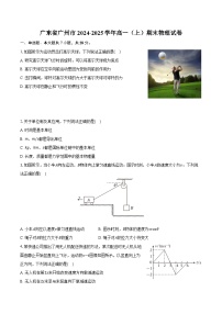 广东省广州市2024-2025学年高一（上）期末物理试卷