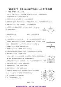 2024～2025学年青海省西宁市十四中高二上()期中物理试卷(含解析)