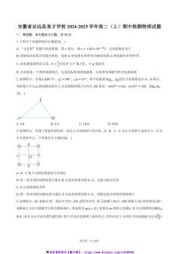 2024～2025学年安徽省定远县育才学校高二上()期中检测物理试卷(含答案)