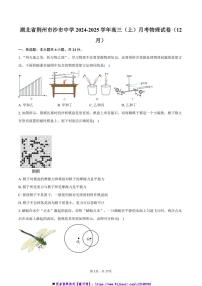 2024～2025学年湖北省荆州市沙市中学高三上()月考物理试卷(12月)(含解析)