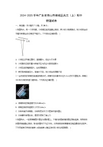2024~2025学年广东省佛山市禅城区高三上期中物理试卷（解析版）