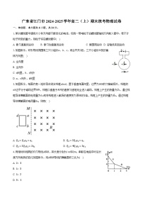 广东省江门市2024-2025学年高二（上）期末统考物理试卷-