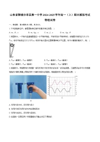 山东省聊城市莘县第一中学2024-2025学年高一（上）期末模拟考试物理试卷