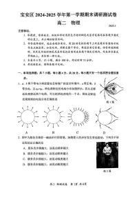 广东省深圳市宝安区2024-2025学年高二上学期期末调研测试物理试题