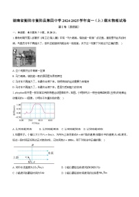 湖南省衡阳市衡阳县第四中学2024-2025学年高一（上）期末物理试卷（含解析）