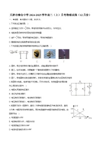 天津市南仓中学2024-2025学年高二（上）月考物理试卷（12月份）