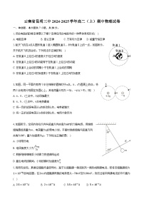 云南省昆明三中2024-2025学年高二（上）期中物理试卷