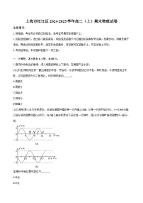 上海市松江区2024-2025学年高三（上）期末物理试卷（含解析）