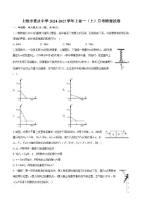 上海市重点中学2024-2025学年上高一（上）月考物理试卷-