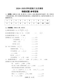 湖北省武汉市江岸区2024-2025学年高三上学期1月期末物理试题答案