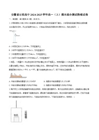 安徽省示范高中2024-2025学年高一（上）期末综合测试物理试卷